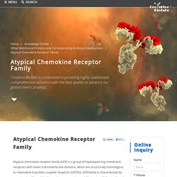 Atypical Chemokine Receptor Family