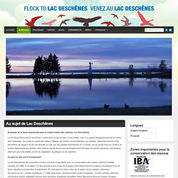 Au sujet de Lac Deschênes : Lac Deschénes