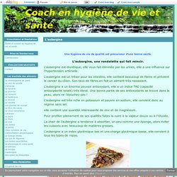 L'aubergine - Coach en hygiène de vie et santé