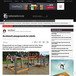 Auckland's playgrounds for adults - Lifestyle