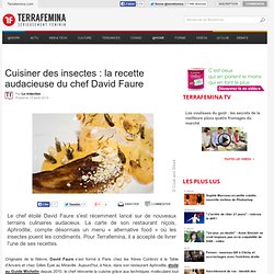 Cuisiner des insectes : la recette audacieuse du chef David Faure