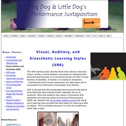Visual, Auditory, and Kinesthetic Learning Styles (VAK)