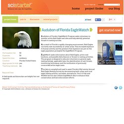 Audubon of Florida EagleWatch on SciStarter