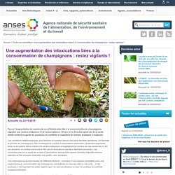 ANSES 23/10/19 Une augmentation des intoxications liées à la consommation de champignons : restez vigilants !