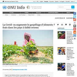 ONU 28/09/20 La Covid-19 augmente le gaspillage d'aliments frais dans les pays à faible revenu