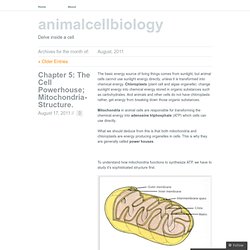 animalcellbiology