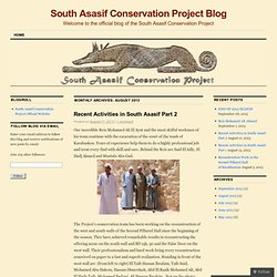 South Asasif Conservation Project Blog