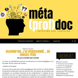 méta(prof)doc - Aujourd'hui, j'ai démissionné... du conseil péda