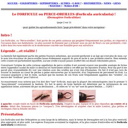le forficule ou perce-oreilles (Forficula auricularia), biologie et développement;