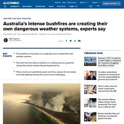 Australia bushfires create their own dangerous weather systems, experts say