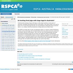 Is hunting feral pigs with dogs legal in Australia? - RSPCA Australia knowledgebase