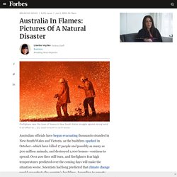 Australia In Flames: Pictures Of A Natural Disaster