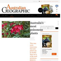 Australia's most poisonous plants
