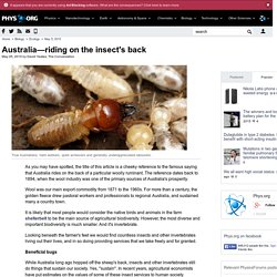 Australia—riding on the insect's back