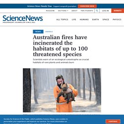 Australia’s fires are threatening to wipe out unique species