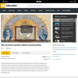 Why Australia wanted a White Australia policy - ABC Education