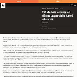 WWF-Australia welcomes $50 million to support wildlife harmed by bushfires - WWF-Australia