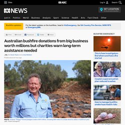 Australian bushfire donations from big business worth millions but charities warn long-term assistance needed