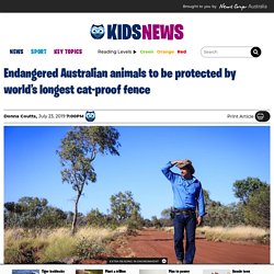 Cat-proof fence to protect Australian endangered animals in Newhaven Wildlife Sanctuary, NT