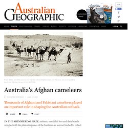 Afghan cameleers: Australia's outback history