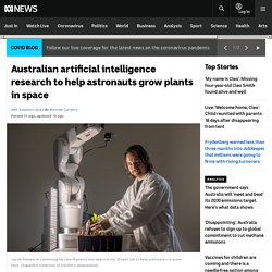 Australian artificial intelligence research to help astronauts grow plants in space