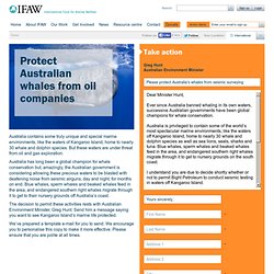 Protect Australian whales from oil companies