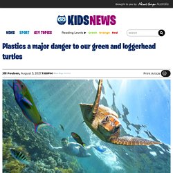 Australian turtles in real peril from plastics