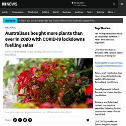 Australians bought more plants than ever in 2020 with COVID-19 lockdowns fuelling sales