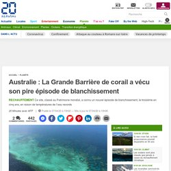 Australie : La Grande Barrière de corail a vécu son pire épisode de blanchissement