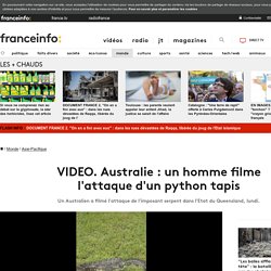 Australie : un homme filme l'attaque d'un python tapis