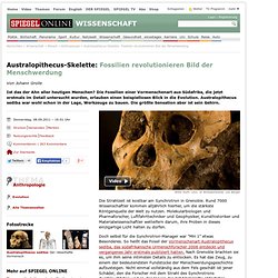 Australopithecus-Skelette: Fossilien revolutionieren Bild der Menschwerdung - SPIEGEL ONLINE - Nachrichten - Wissenschaft