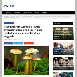 Psychedelic mushrooms reduce authoritarianism and boost nature relatedness, experimental study suggests