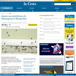 Quatre cas autochtones de chikungunya à Montpellier