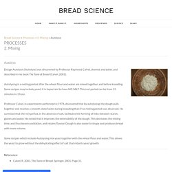 Autolyse - BREAD SCIENCE