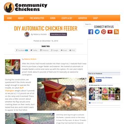 DIY Automatic Chicken Feeder
