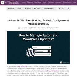 Automatic WordPress Updates: Guide to Configure and Manage effortlessly