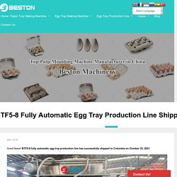 BTF5-8 Fully Automatic Egg Tray Production Line Shipped to Columbia