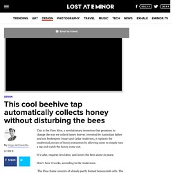 This cool beehive tap automatically collects honey without disturbing the bees - Lost At E Minor: For creative people