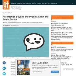 Automation Beyond the Physical: AI in the Public Sector