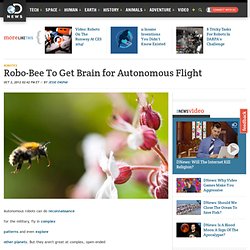 Robo-Bee To Get Brain for Autonomous Flight