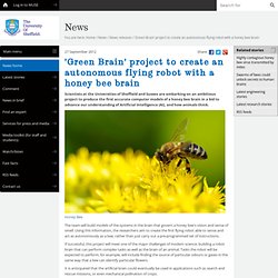 ‘Green Brain’ project to create an autonomous flying robot with a honey bee brain - News releases - News