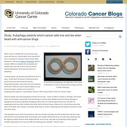 Study: Autophagy predicts which cancer cells live and die when faced with anti-cancer drugs - Colorado Cancer Blogs