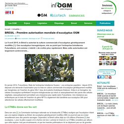 BRESIL - Première autorisation mondiale d’eucalyptus OGM