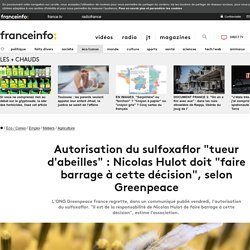 Autorisation du sulfoxaflor "tueur d'abeilles" : Nicolas Hulot doit "faire barrage à cette décision", selon Greenpeace