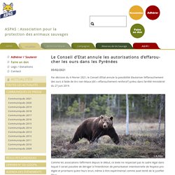 5 fév. 2021 Le Conseil d’Etat annule les autorisations d’effaroucher les ours dans les Pyrénées