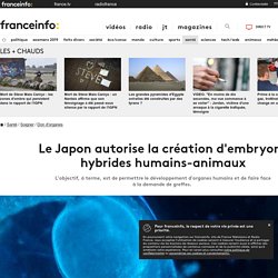 Le Japon autorise la création d'embryons hybrides humains-animaux