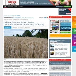 La filière française du blé bio vise l'autosuffisance dans quatre ans (profession)