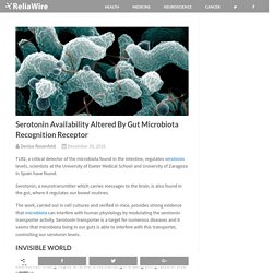 Serotonin Availability Altered By Gut Microbiota Recognition Receptor