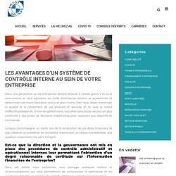 LES AVANTAGES D'UN SYSTÈME DE CONTRÔLE INTERNE AU SEIN DE VOTRE ENTREPRISE - Amyot Gélinas