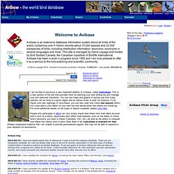 Avibase - Il Database degli Uccelli del Mondo